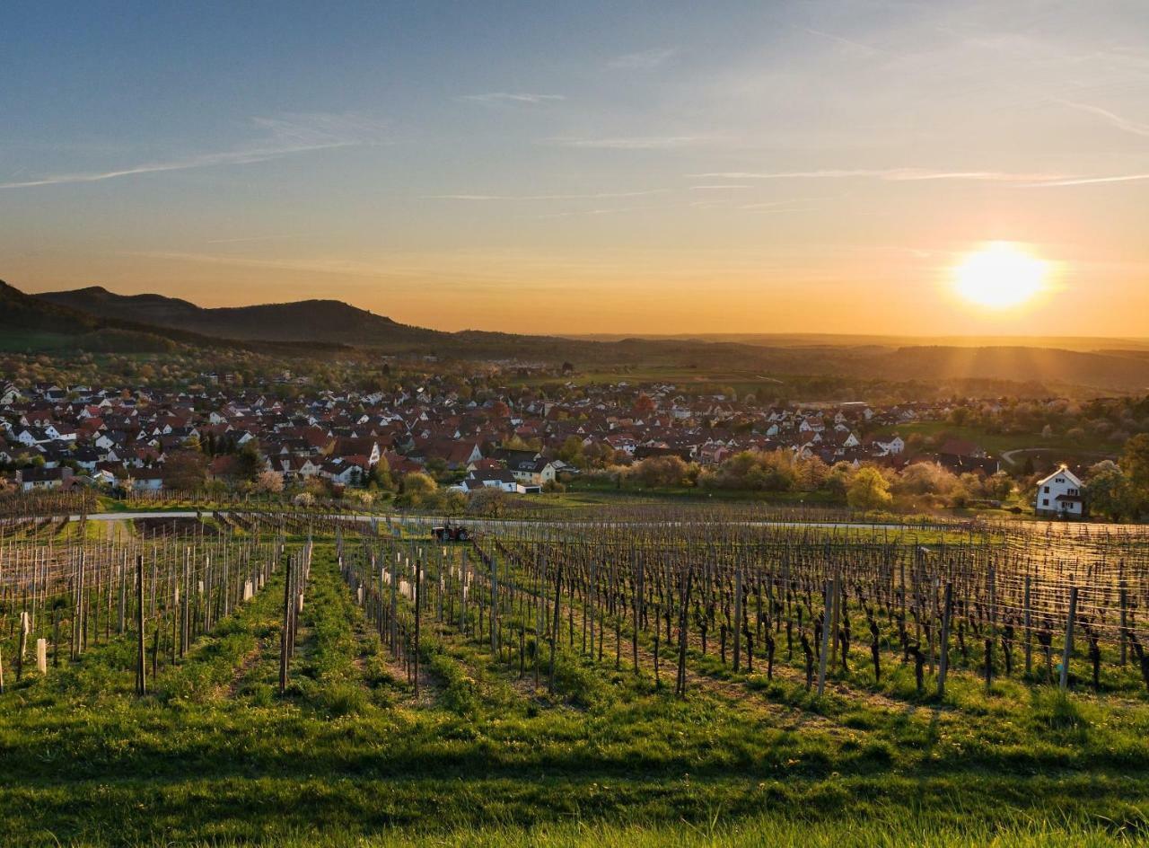 Ferienwohnung Gluiber Beuren  Esterno foto